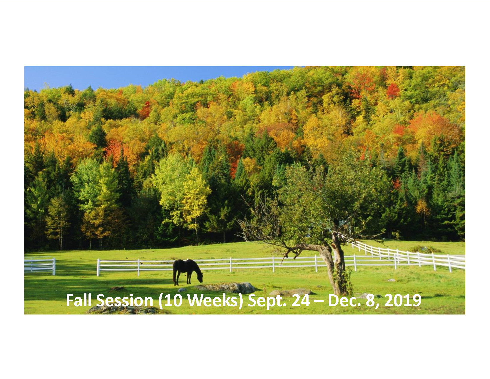 Home Saddle Up Therapeutic Riding StablesSaddle Up Therapeutic Riding