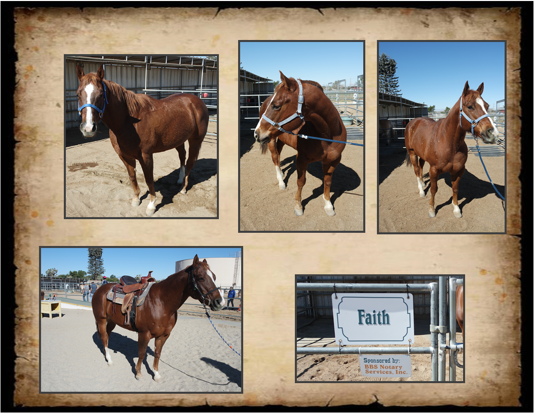 Trusty Steeds Saddle Up Therapeutic Riding StablesSaddle Up